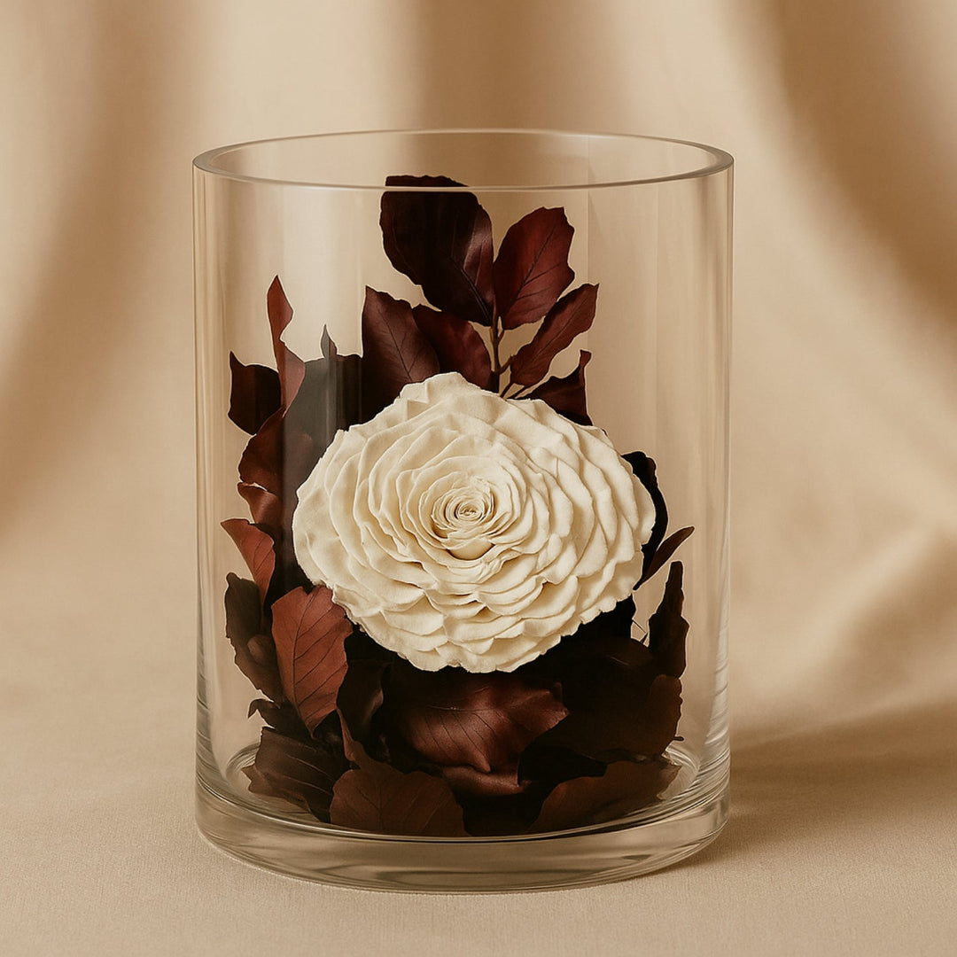 مزهرية زجاجية أنيقة مع وردة بيضاء كلاسيكية خالدة