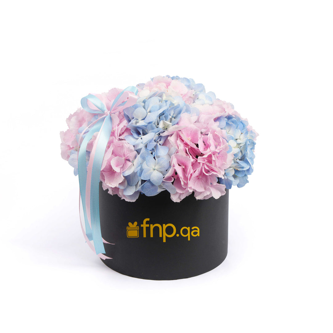 باقة هيدرانجيا أنيقة في صندوق فاخر