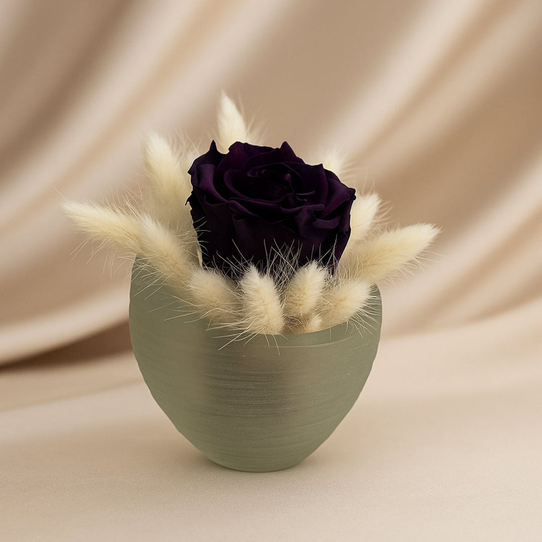 تنسيق الوردة السوداء الأبدية الأنيقة