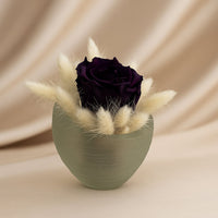 Dark Elegance Forever Rose