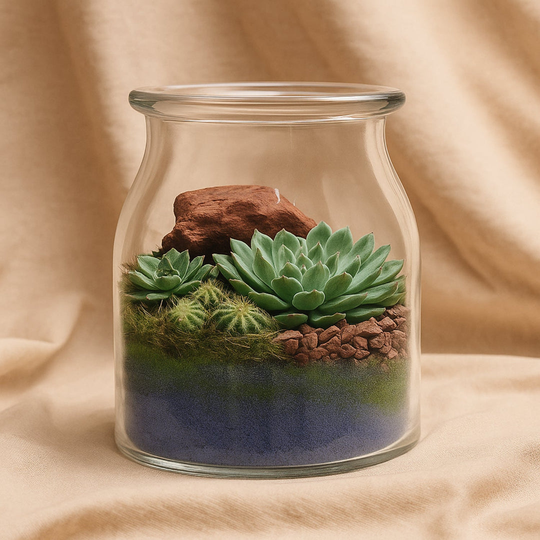 تناغم الصحراء: تراريوم عصاري أنيق في إناء زجاجي