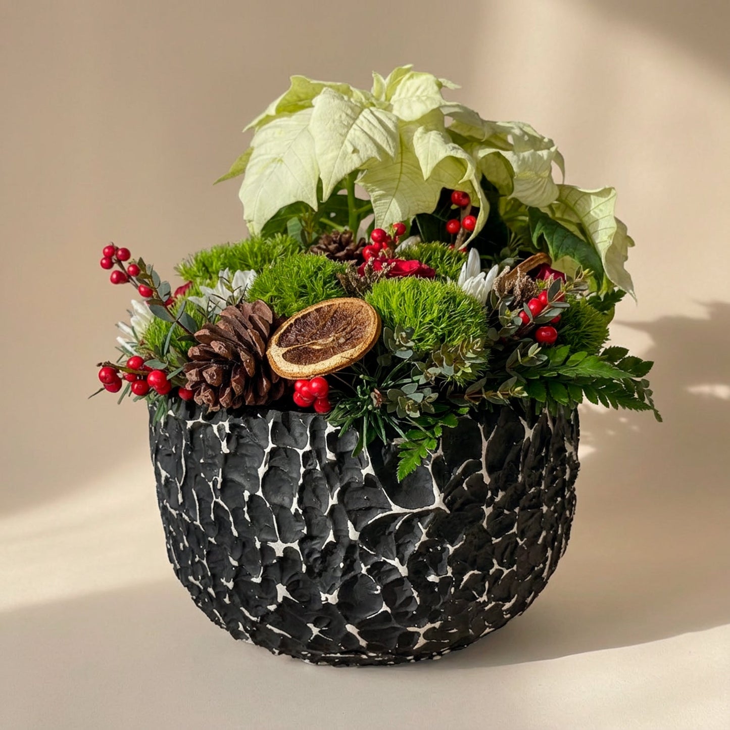 Festive Harmony Poinsettia Pot - A Holiday Delight