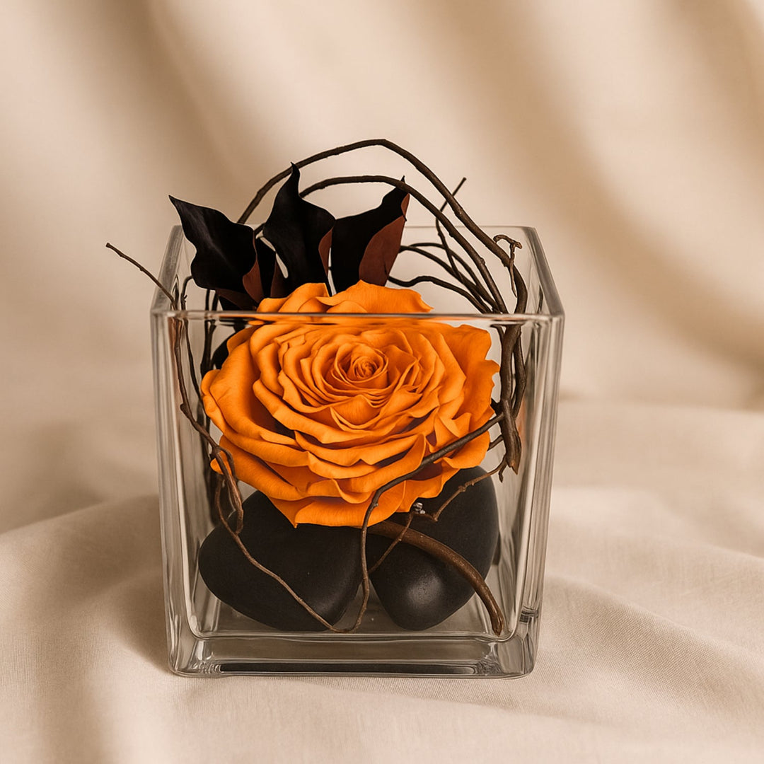 وردة برتقالية نارية أنيقة في مزهرية زجاجية - مجموعة الحديقة الأبدية