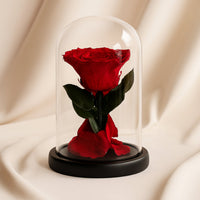 Forever Pure Rose