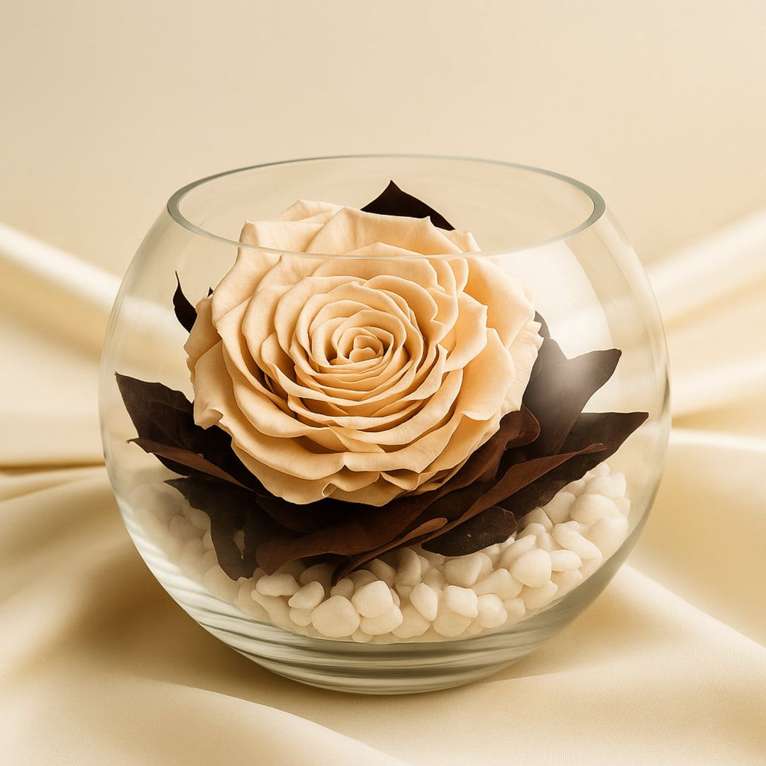 فروزن فوريفر: جمال خلاب مع وردة بيضاء مصانة في فازة زجاجية