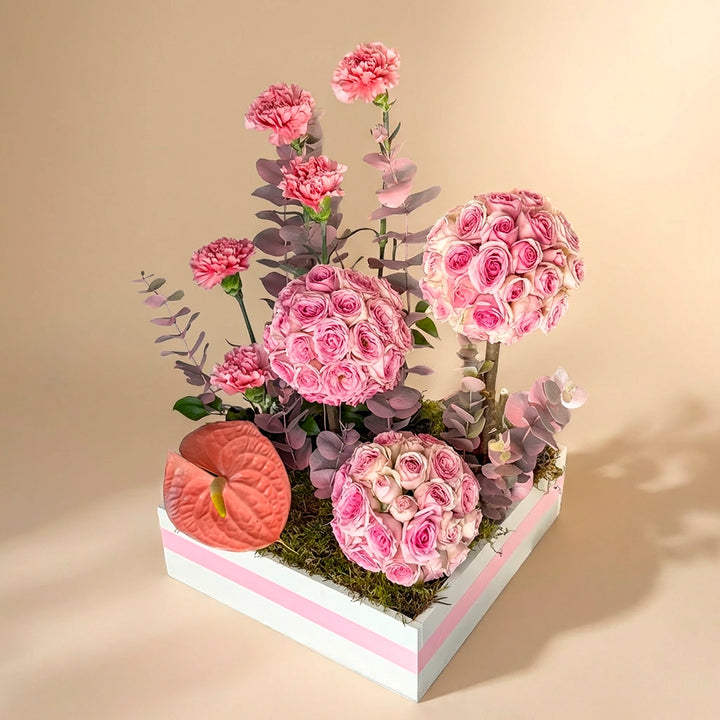 Blossoms of Pink Serenity