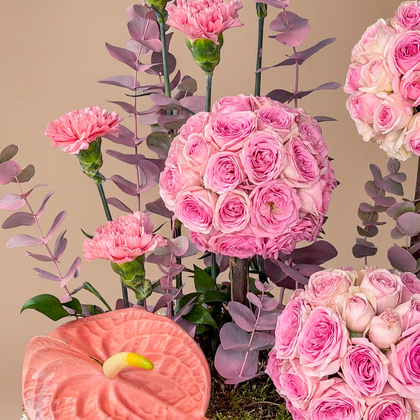 Blossoms of Pink Serenity