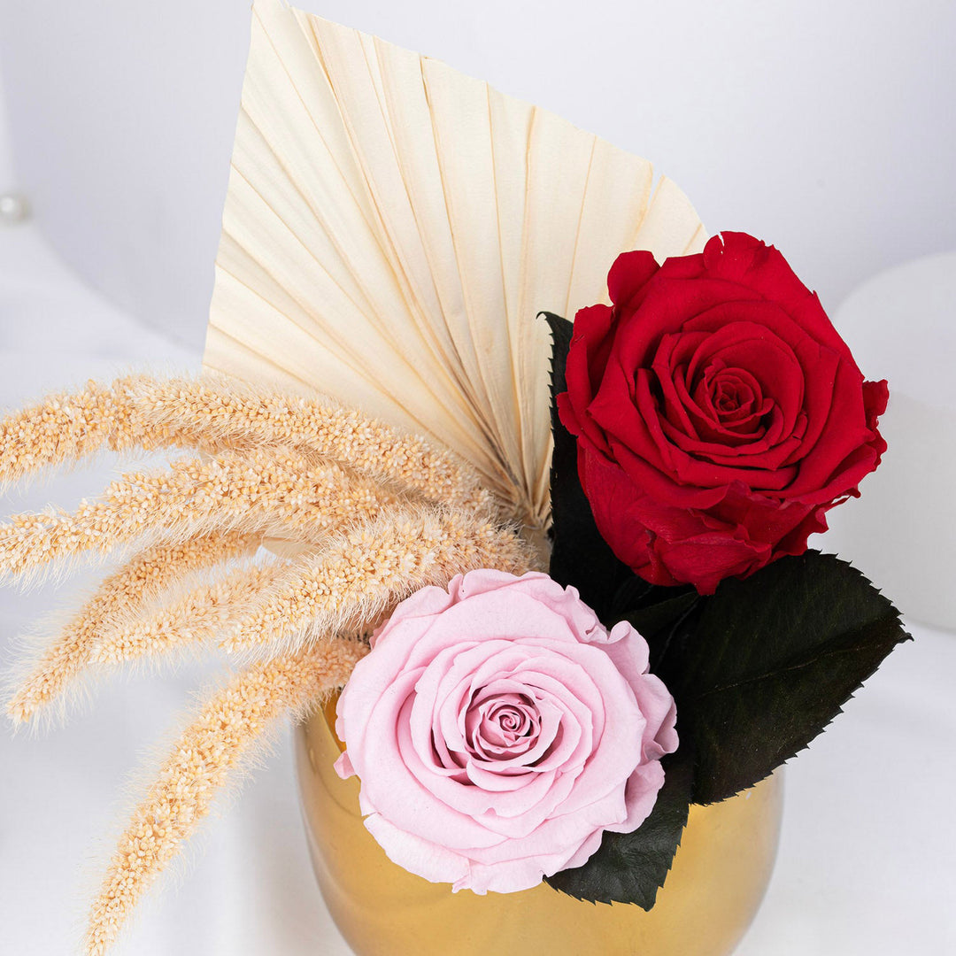ثنائي الورود المحفوظة بسحر ذهبي في مزهرية أنيقة