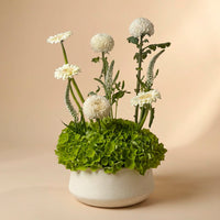 تنسيق الزهور العاجي واليشم الهادئ