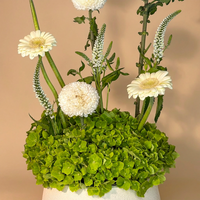 تنسيق الزهور العاجي واليشم الهادئ