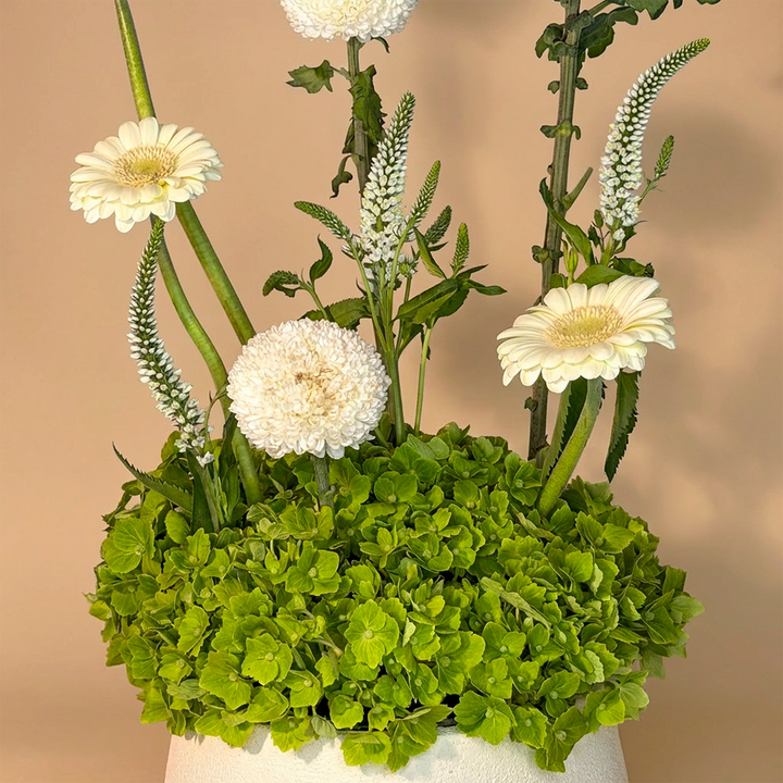 تنسيق الزهور العاجي واليشم الهادئ