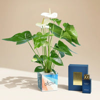 Celebrate Dad with White Anthurium & Shaghaf Oud Azraq Perfume Gift Set