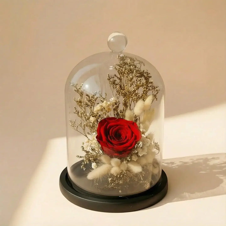Elegant Eternal Rose Dome - Timeless Beauty