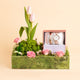 Loverly Roses in a Box With Titan Raga Power Pearls Quartz Analog Watch for Women
