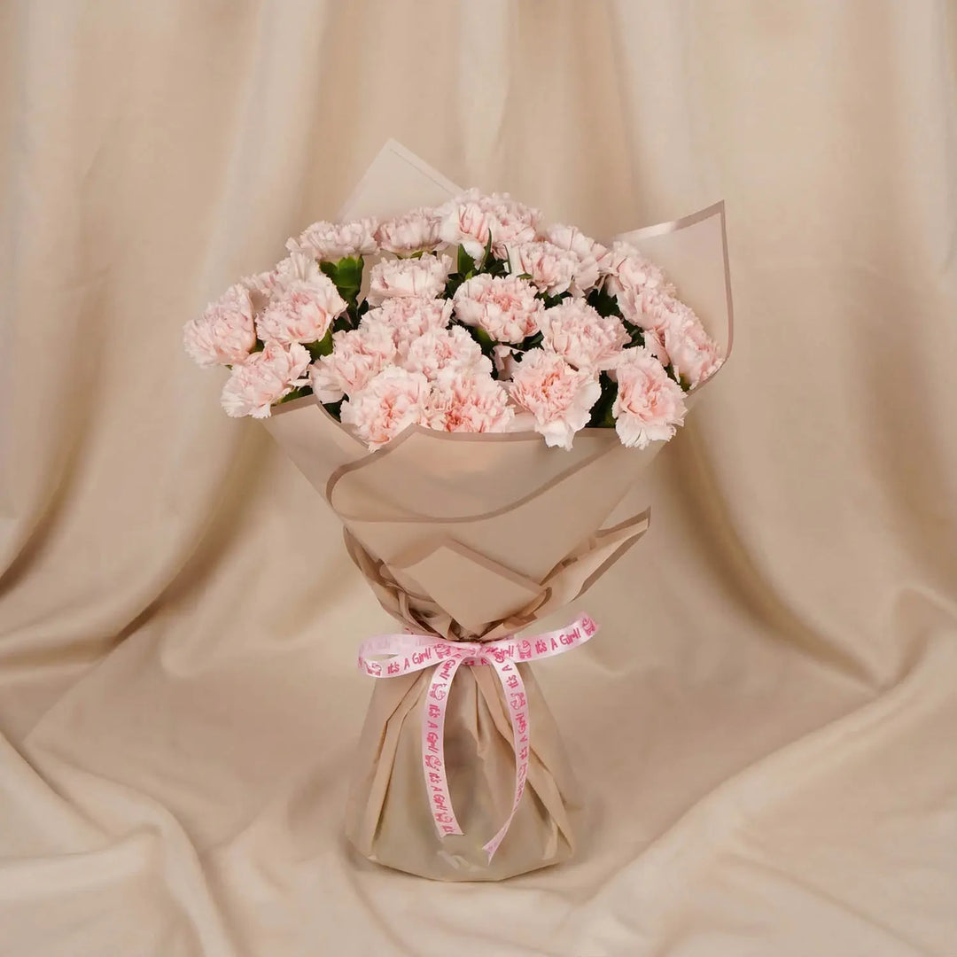 Elegance in Bloom: Pastel Pink Carnations