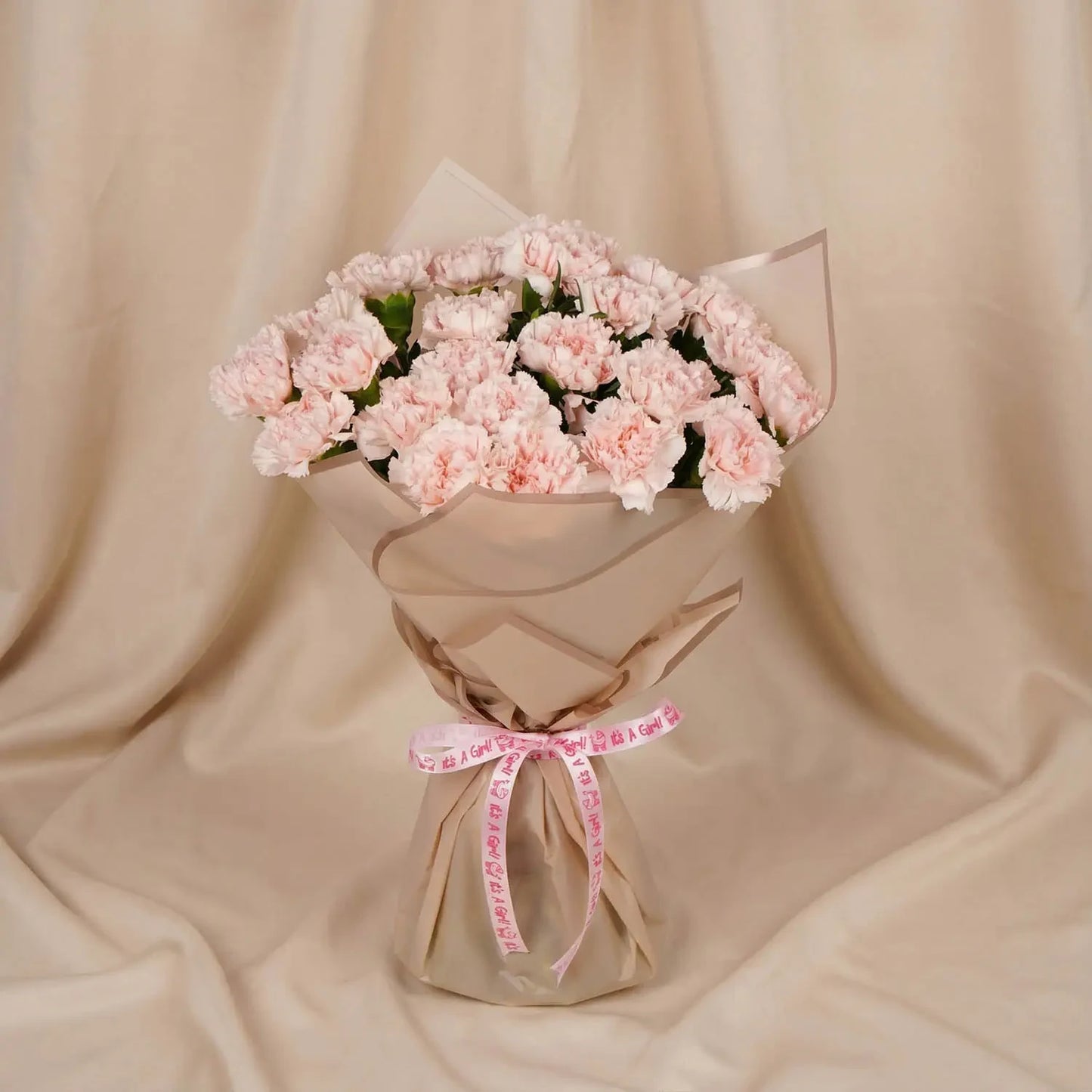 Elegance in Bloom: Pastel Pink Carnations