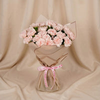 Elegance in Bloom: Pastel Pink Carnations