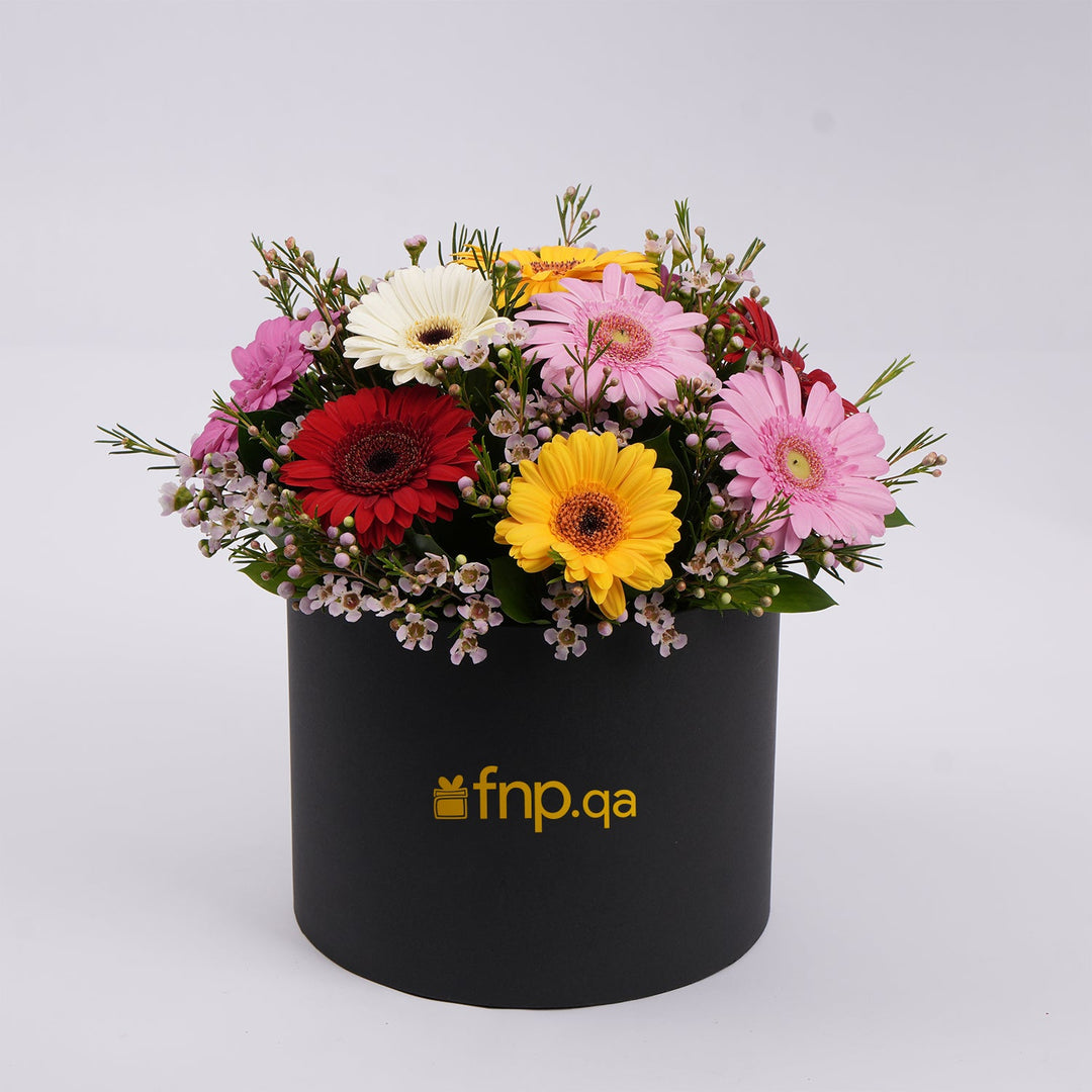 Elegant Mixed Color Gerberas in a Luxury Flower Box