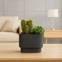 Elegant Modern Minimalist Cactus & Succulent Planter