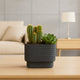 Elegant Modern Minimalist Cactus & Succulent Planter