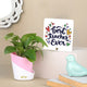 Indoor Money Plant with Decorative Teacher's Day Table Top Gift