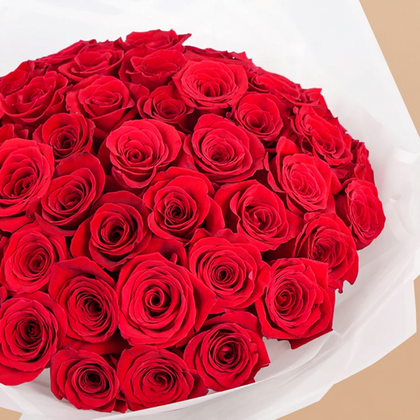 عناق الشغف: باقة فاخرة من 50 وردة حمراء