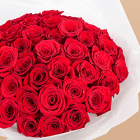 عناق الشغف: باقة فاخرة من 50 وردة حمراء