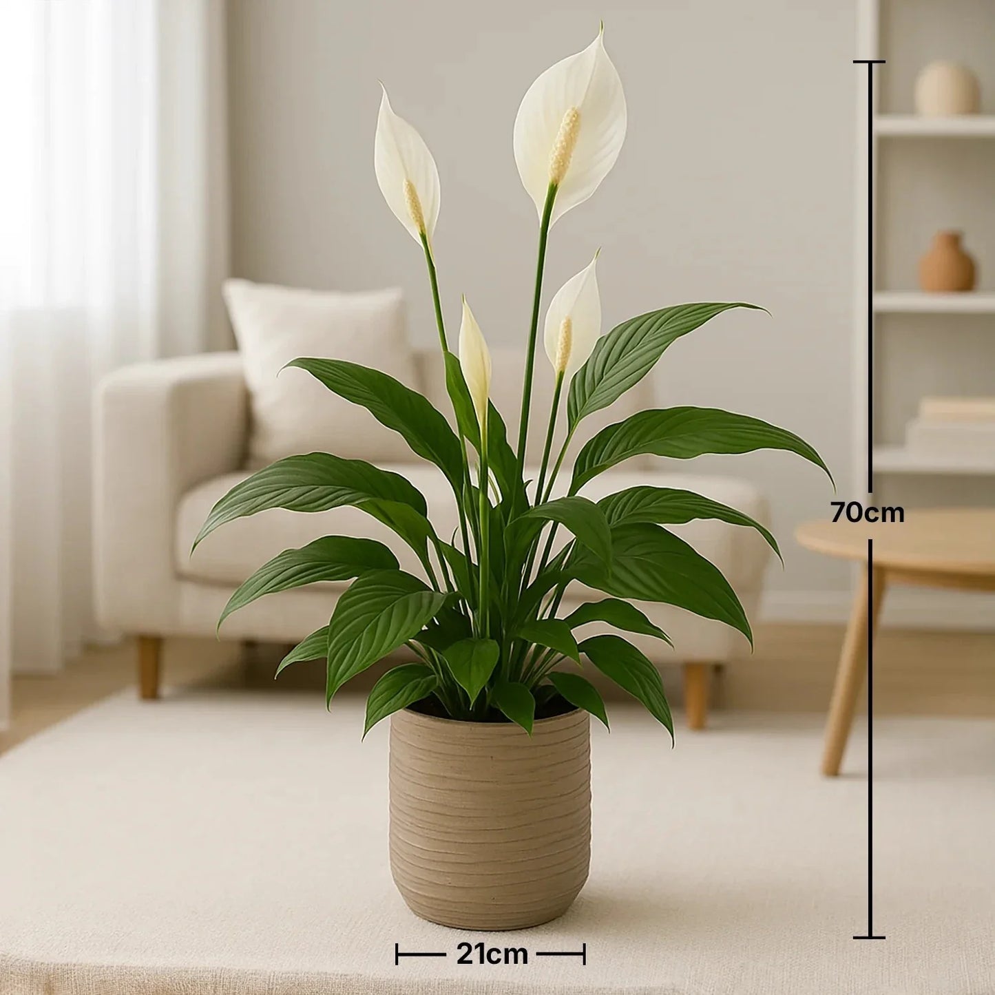 زنبق السلام الأنيق في وعاء سيراميك محكم الصنع