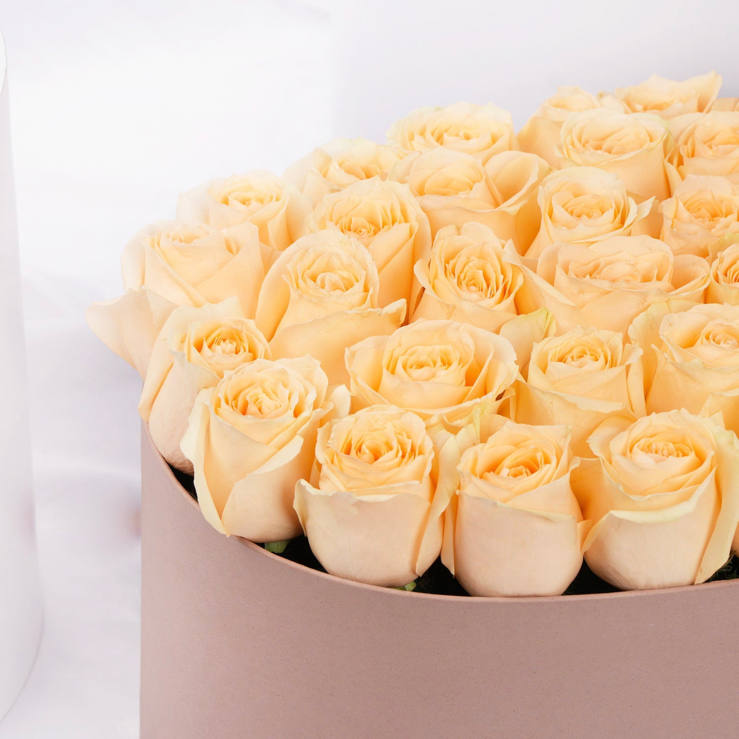 Peach Love Arrangement I 40 Roses