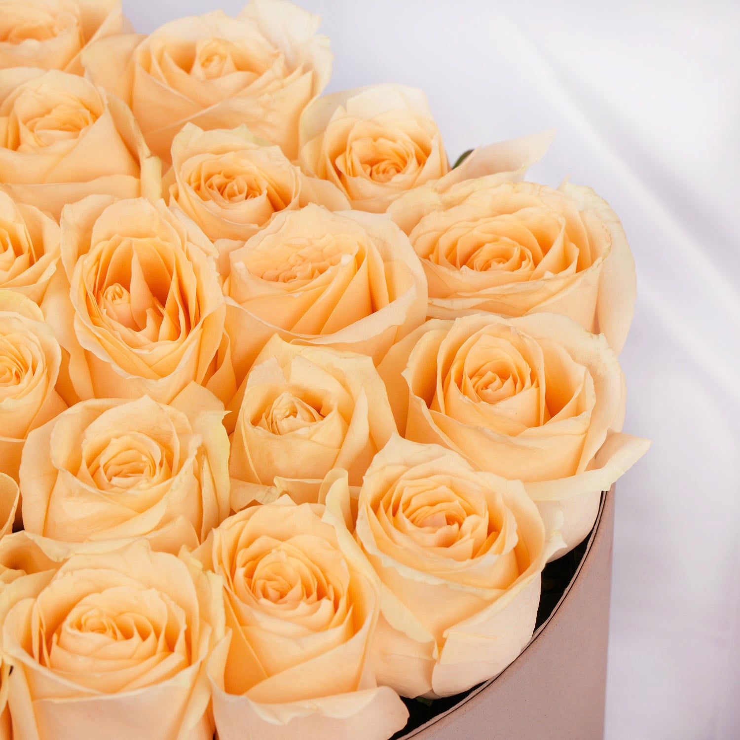 Peach Love Arrangement I 40 Roses