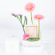Elegant Pink Floral Gift Box with Silver Bracelet and Cubic Zirconia