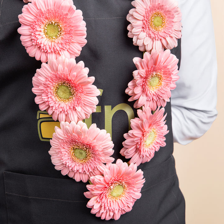 Pink Gerbera Necklace