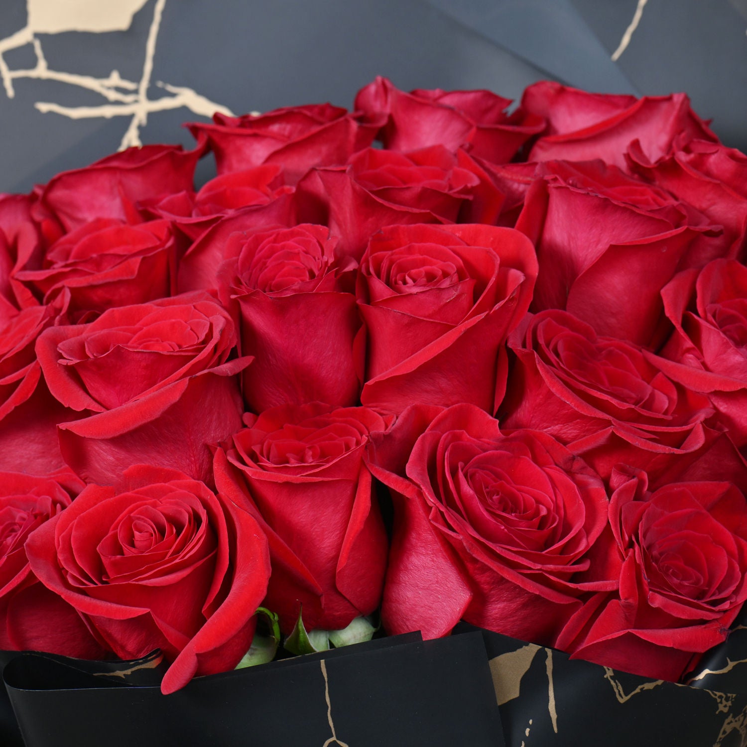 Elegant 25 Red Roses Bouquet with Luxurious Black and Gold Wrap