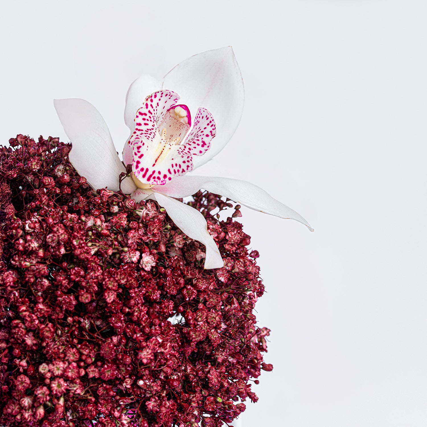Red Gypsophila In National Day Printed Mug