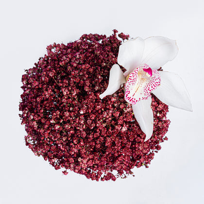 National Day Mug with Red Gypsophila and White Orchid