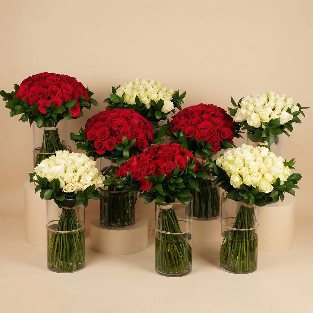 مجموعة الورود الحمراء والبيضاء الأنيقة في مزهريات زجاجية
