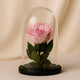 Elegant Rose Glow Glass Dome - Preserved Pink Forever Rose