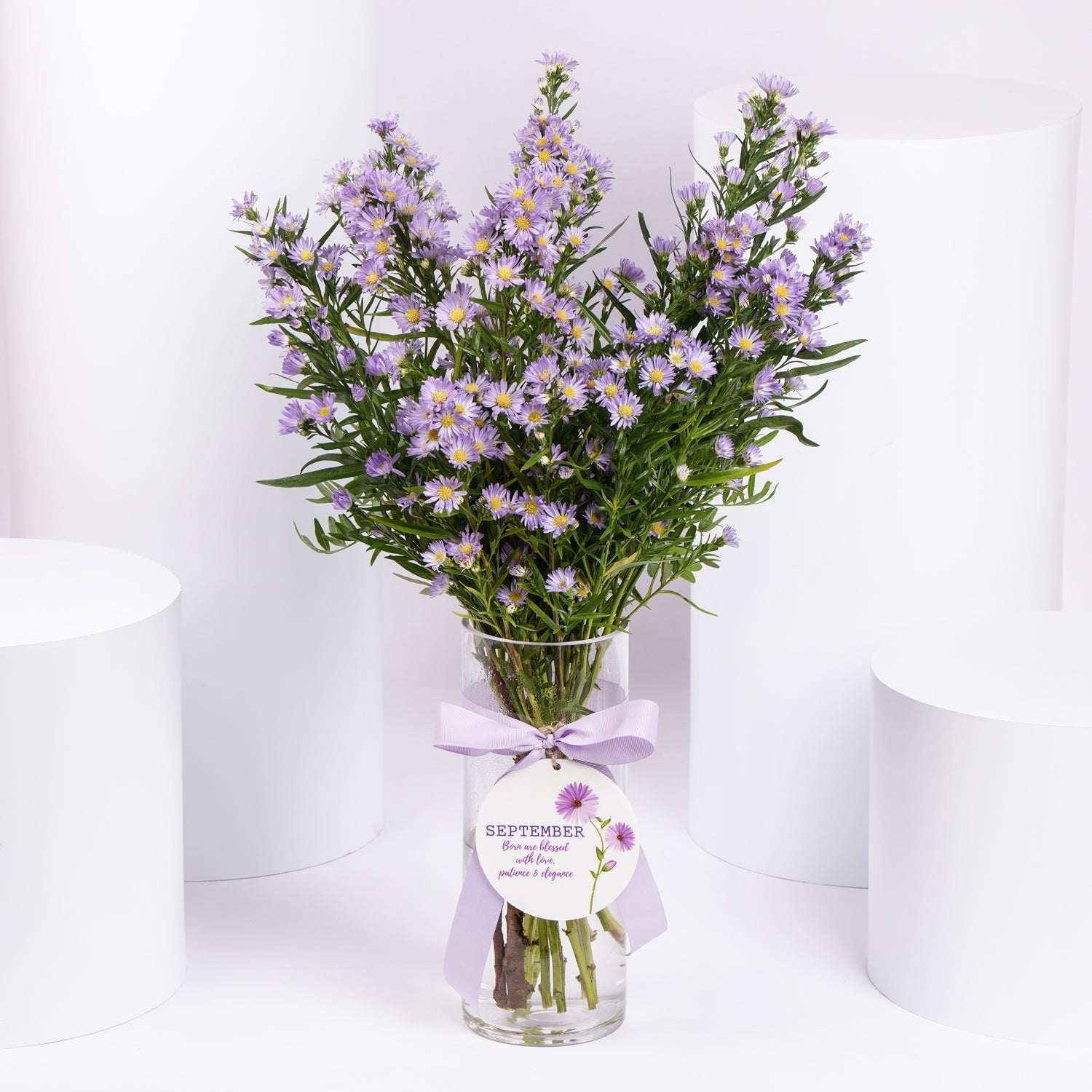 September Birthday Aster Flowers Vase