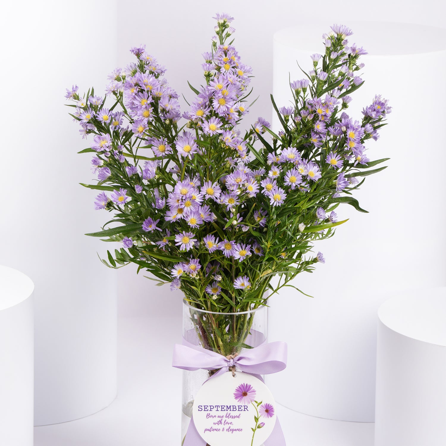 September Birthday Aster Flowers Vase