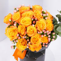 Sunset Splendor Roses