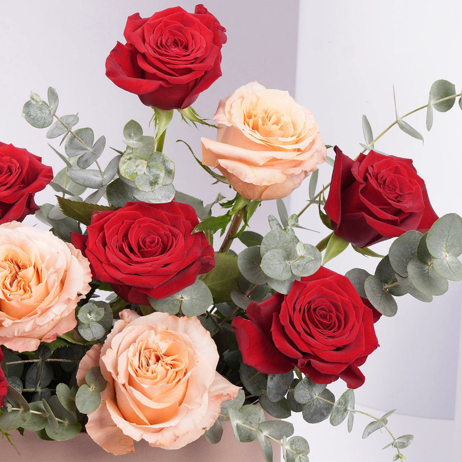 Sweet Blend of Peach & Red I 10 Roses