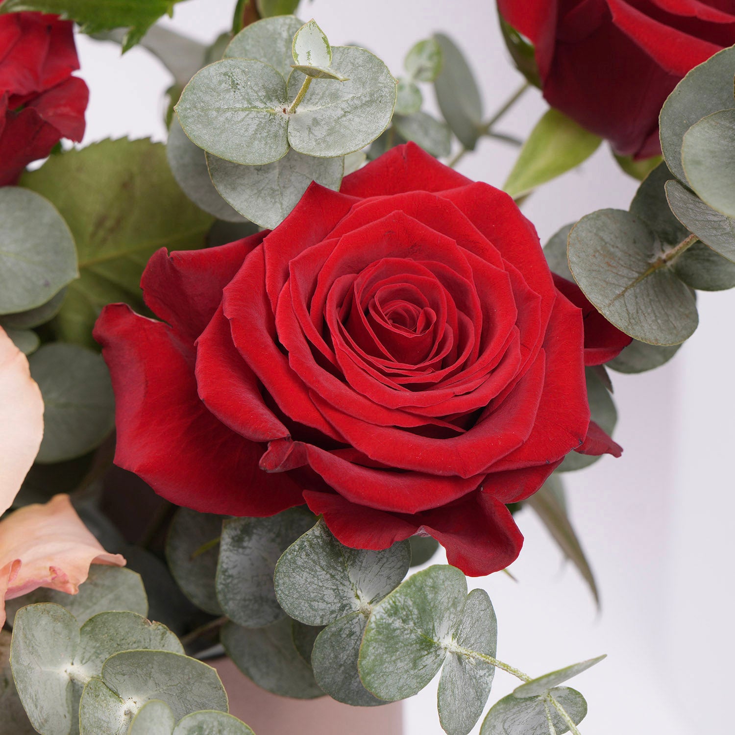 Sweet Blend of Peach & Red I 10 Roses