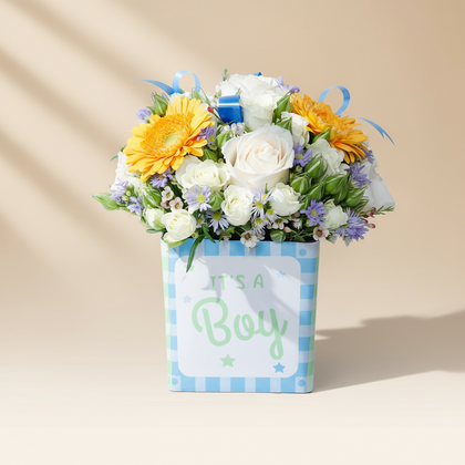 Opera Patisserie | Sweet Prince Welcome Box - Celebrate the New Arrival!