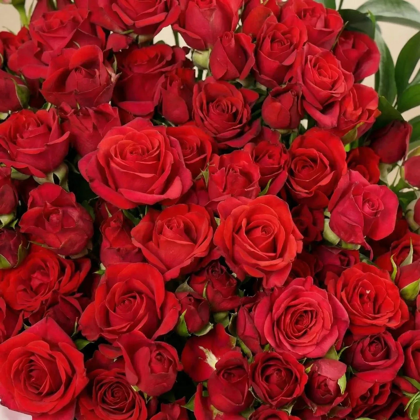 Romantic Valentine Red Spray Roses Bouquet