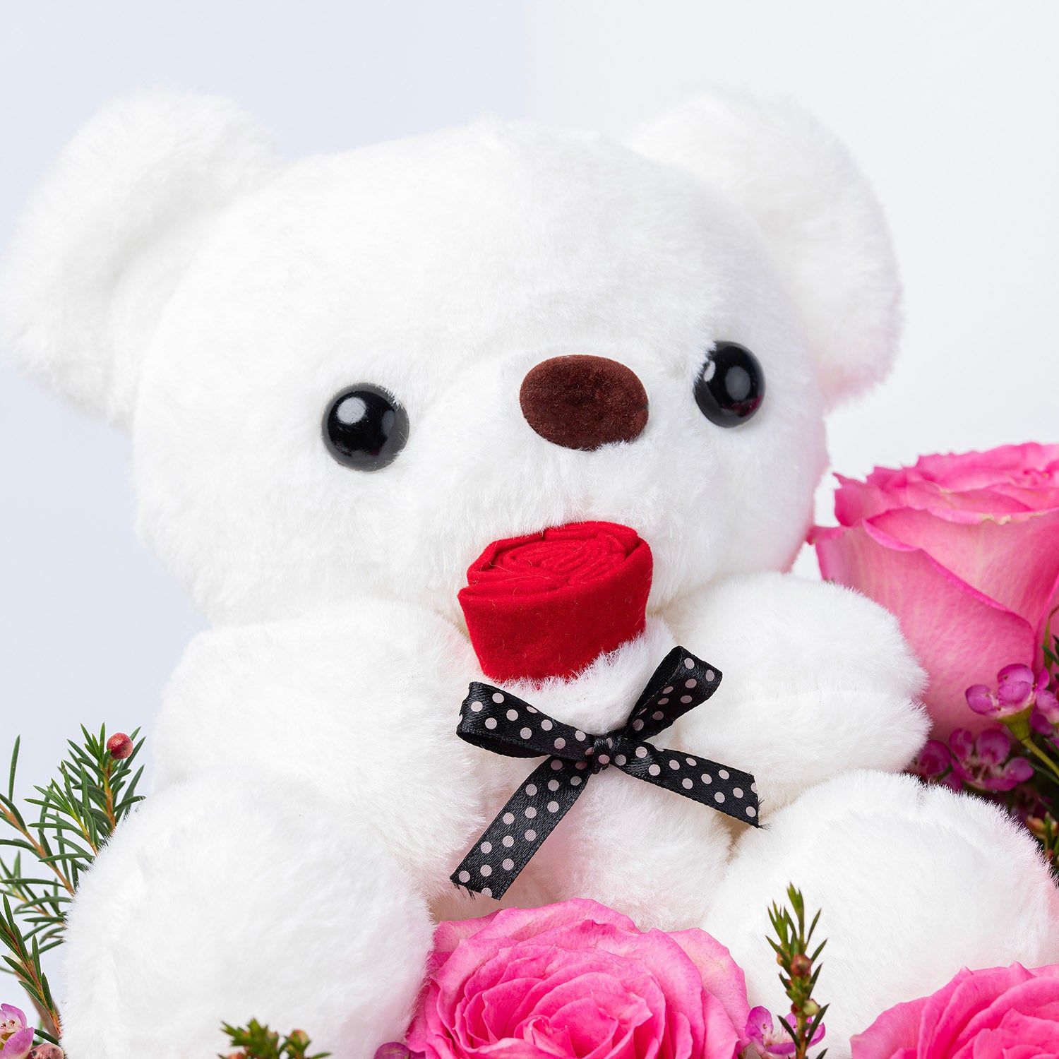 Teddy & Roses hug Delight Box