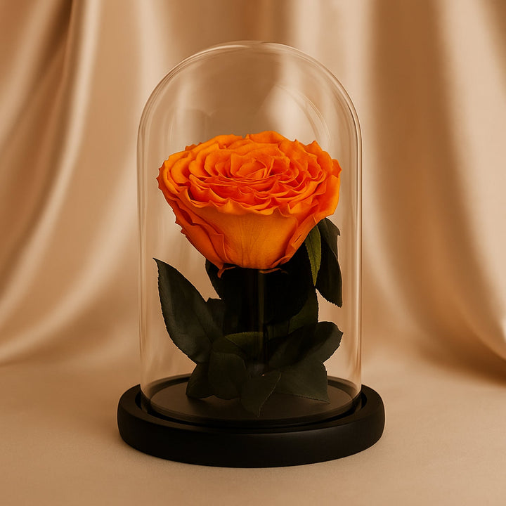 The Forever Orange