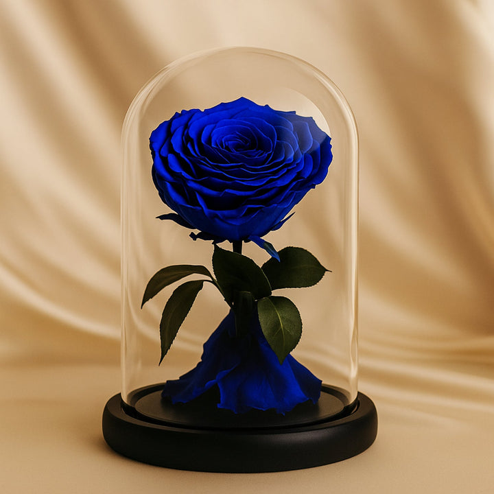 Timeless Forever Blue Dome