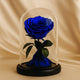 Timeless Forever Blue Dome