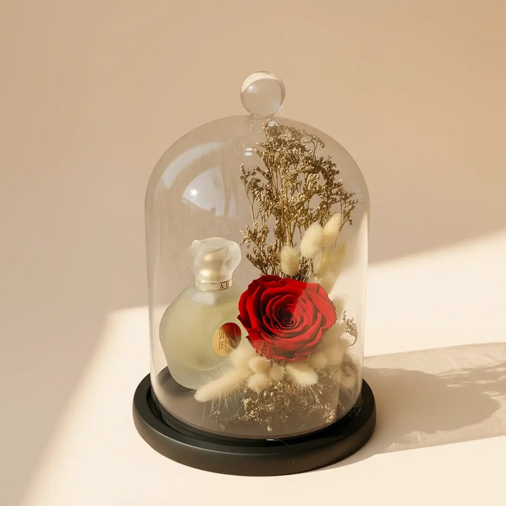 Eternal Elegance: Red Preserved Rose & Musk Perfume Dome