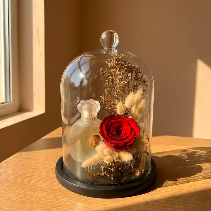 Eternal Elegance: Red Preserved Rose & Musk Perfume Dome